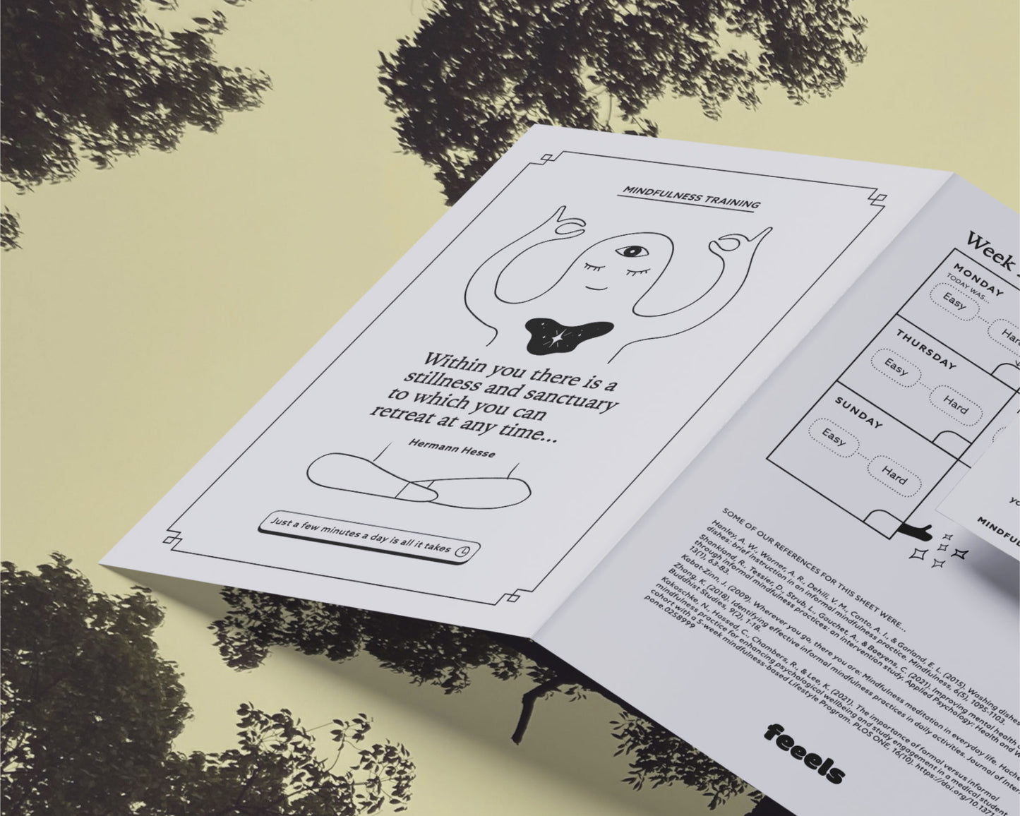Informal Mindfulness Session Kit